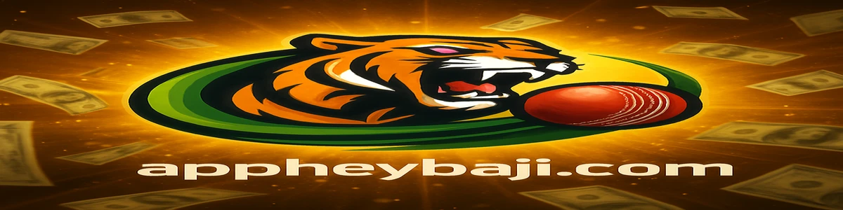 heybaji ব্র্যান্ড লোগো